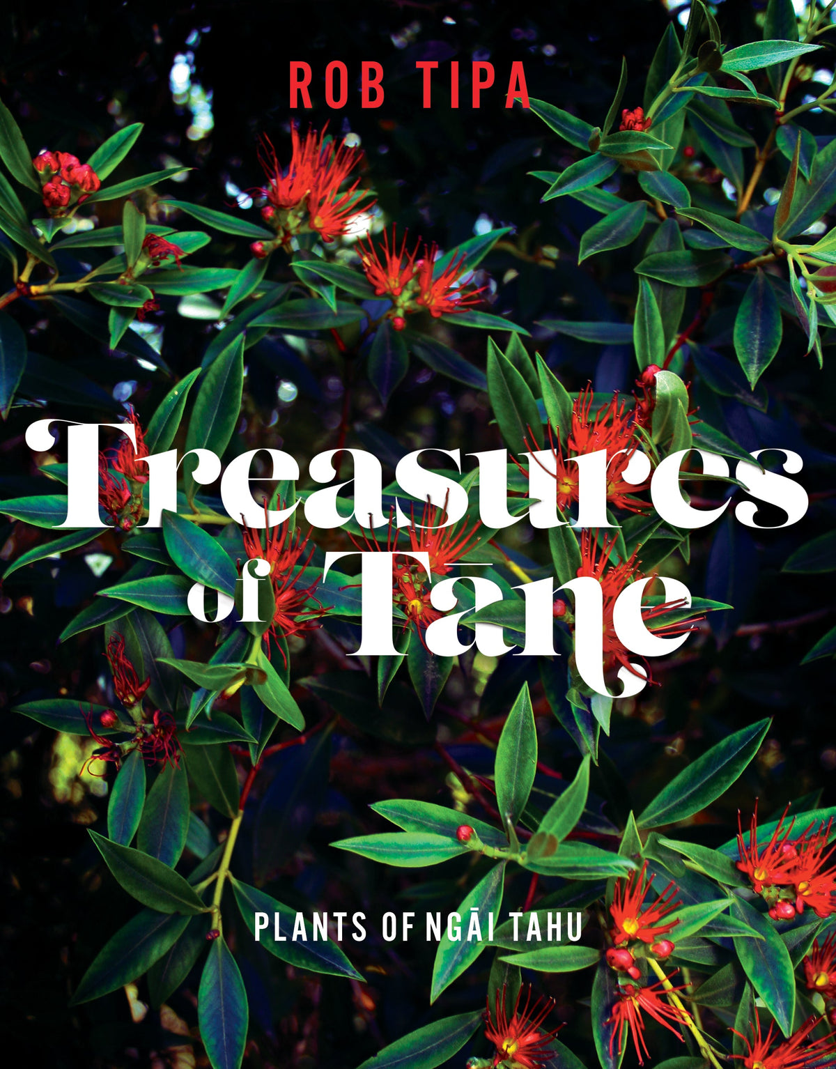 Treasures of Tāne, Plants of Ngāi Tahu by Rob Tipa
