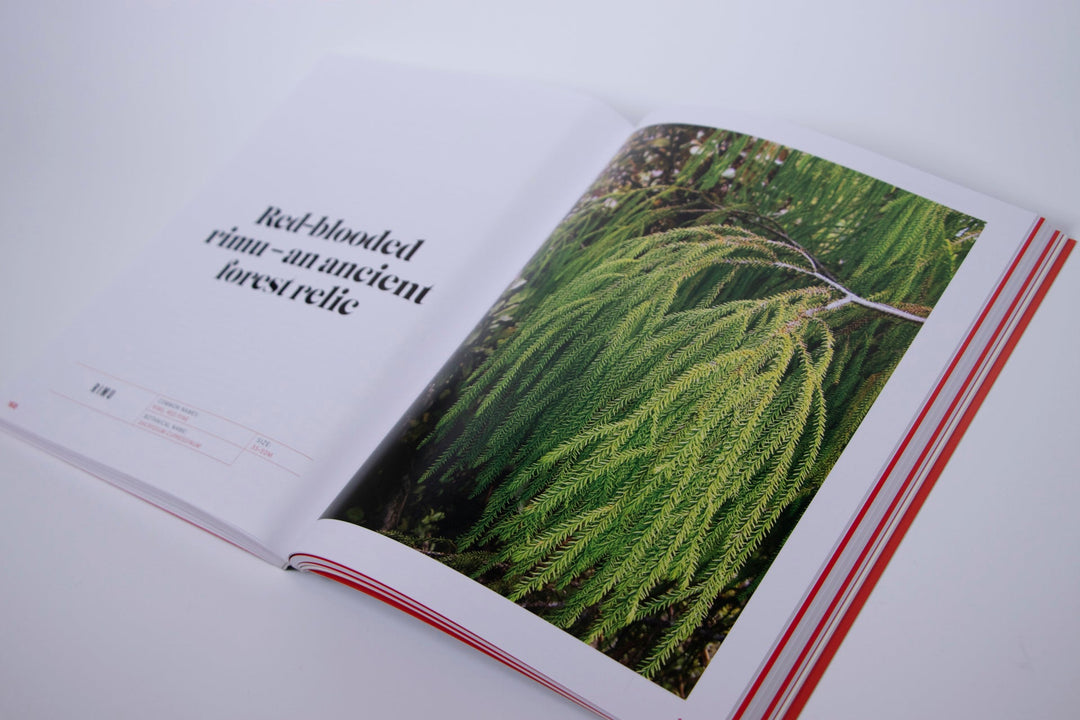 Treasures of Tāne, Plants of Ngāi Tahu by Rob Tipa