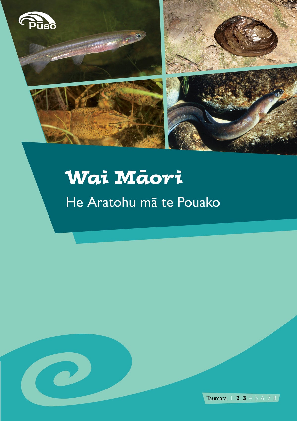 Wai Māori – He Aratohu mā te Pouako